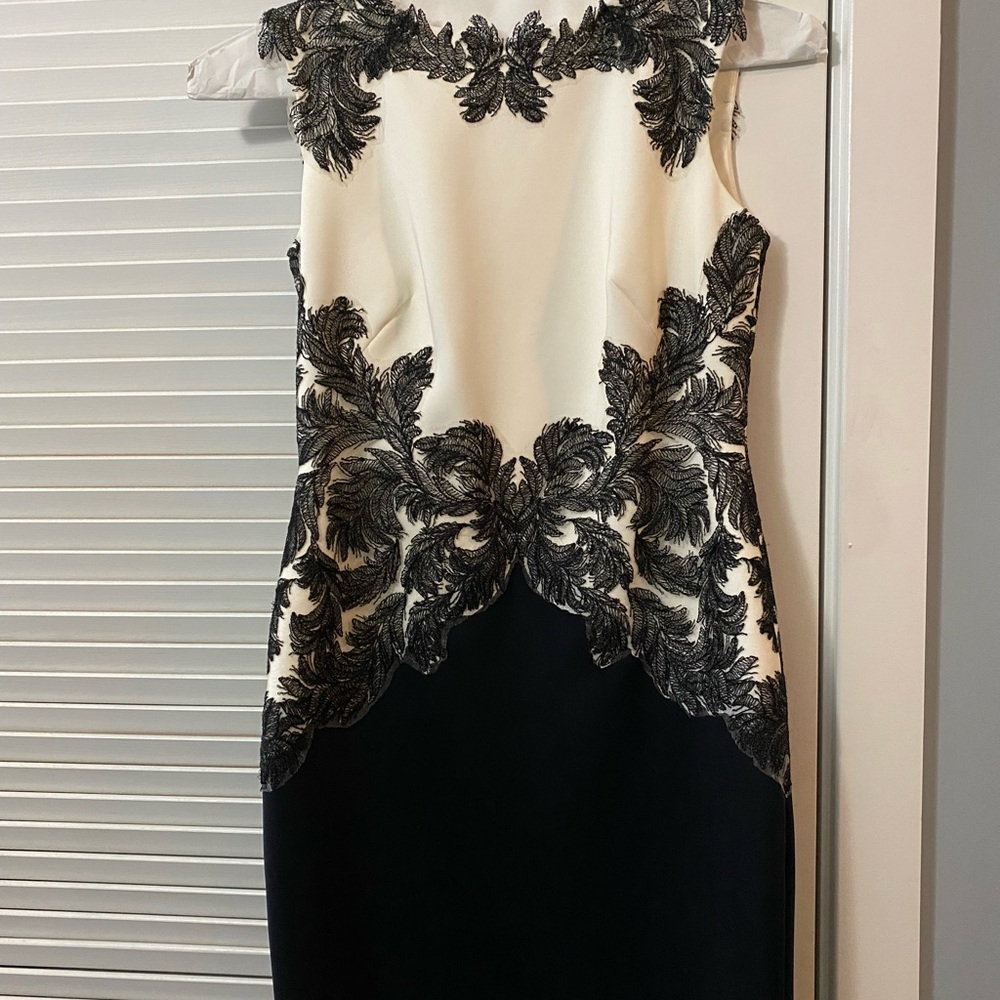 Tadashi Shoji Petite Dress